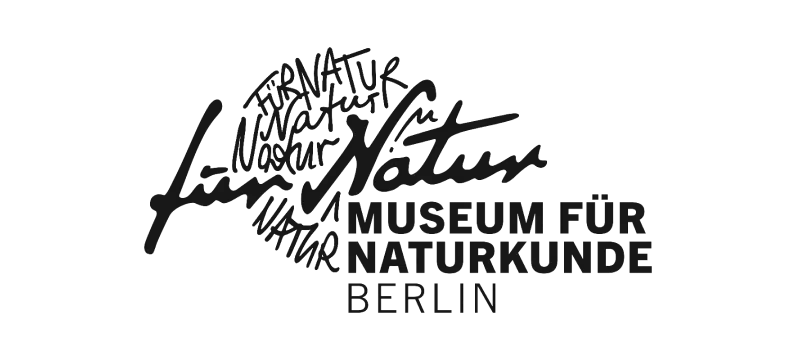 mfn logo